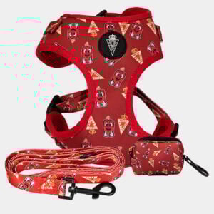 PACK CORREA, ARNÉS Y PORTA BOLSAS RMU