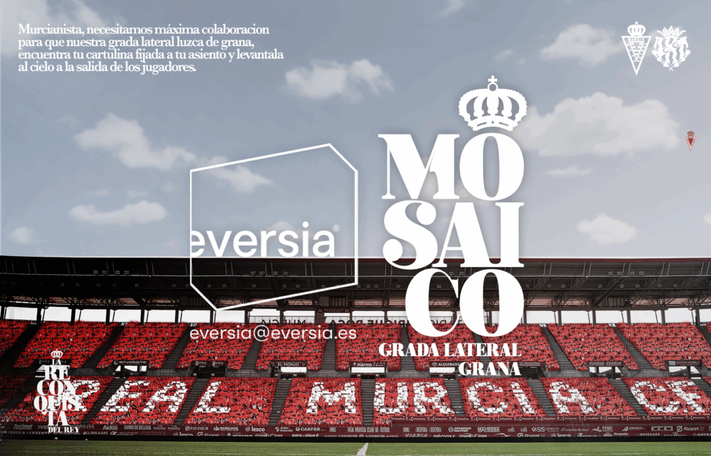 Mosaico en la grada lateral con Eversia: ¡Tu colaboración es clave!